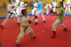 karate-1000x500_c